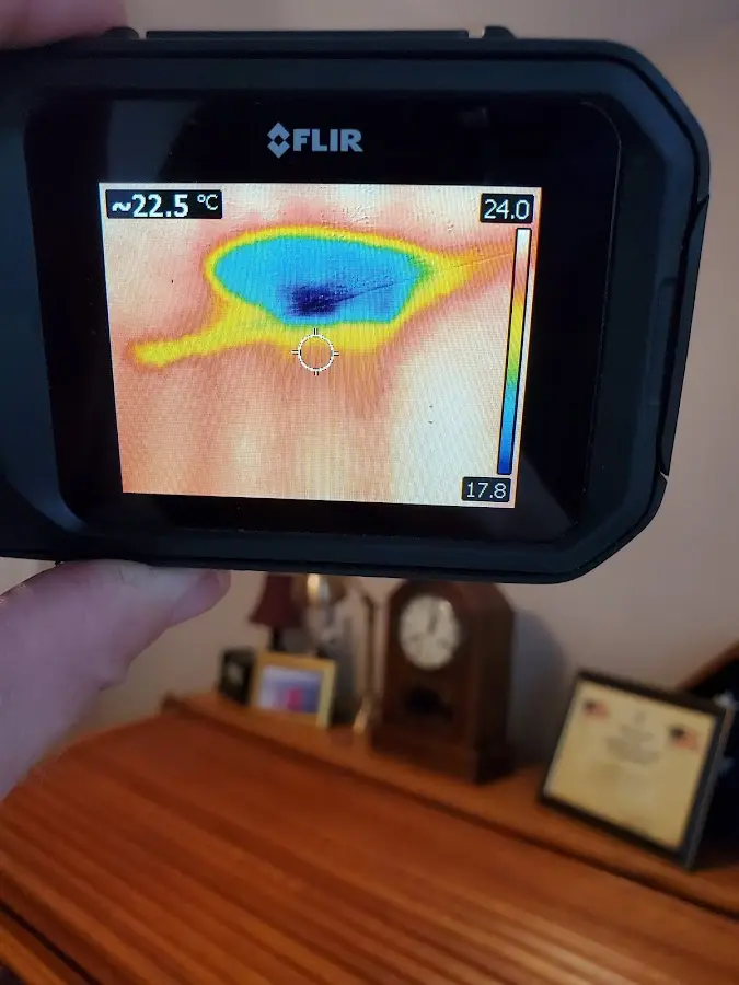 Thermal imaging inspection for water damage in North Auburn